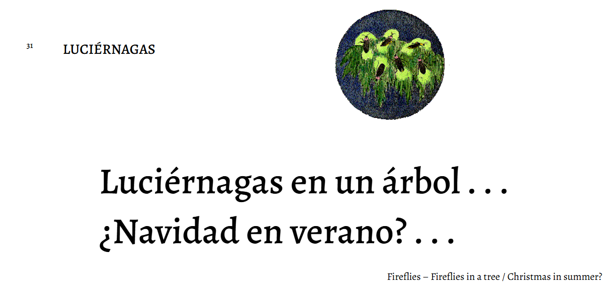31-luciernagas 31-luciernagas